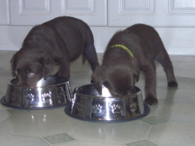 TallulahSue's profile picture. 