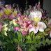 WMS Library (@library_wms) Twitter profile photo WMS Library (@library_wms) Twitter profile photo
