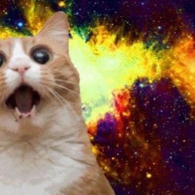 gatozlover's profile picture. si me gustan los gatos... pero me gustan más las gatas como tú mamacita