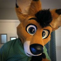 Oz (@ozkangaroo) 's Twitter Profile Photo Oz (@ozkangaroo) 's Twitter Profile Photo