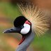 NATIONALPARKS FINDER (@worldparktours) Twitter profile photo NATIONALPARKS FINDER (@worldparktours) Twitter profile photo