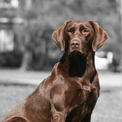 GregRhue's profile picture. 