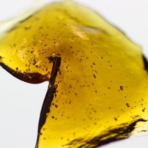 MedicinalDabs's profile picture. Medicinal dabbing research and outreach #LegalizeIt - Medical Marijuana - THC - Dabs - Saving lives naturally through trees