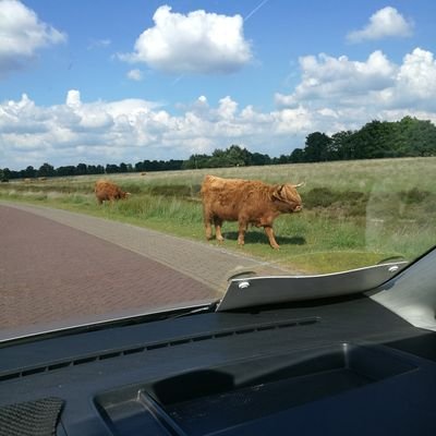 fledderusvitar1's profile picture. 