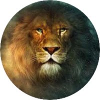 Sandy(@LionofJudah444) 's Twitter Profile Photo