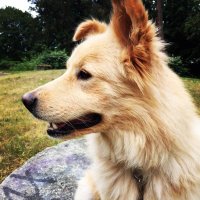 Jody Wolfborn (@joderita) 's Twitter Profile