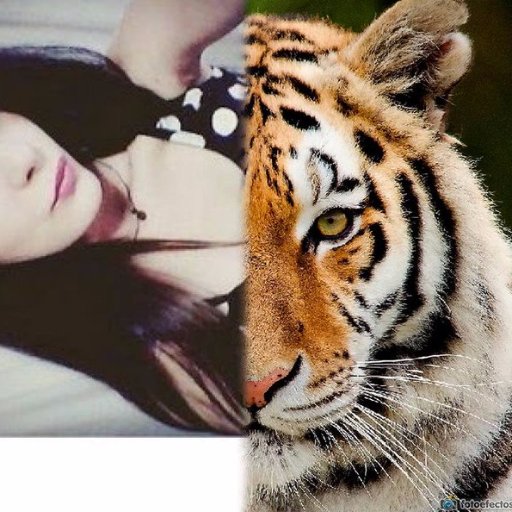 entrega_la_vida's profile picture. https://t.co/tfrY1eUgDx