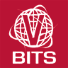 v-bits: Software Development & Hosting
