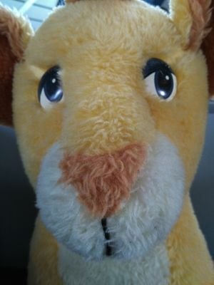 StefanM64's profile picture. Manchmal knurrig, aber eigentlich ganz flauschig.