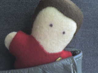 I'm a tiny felt representation of Captain James T Kirk.  These are my voyages.
