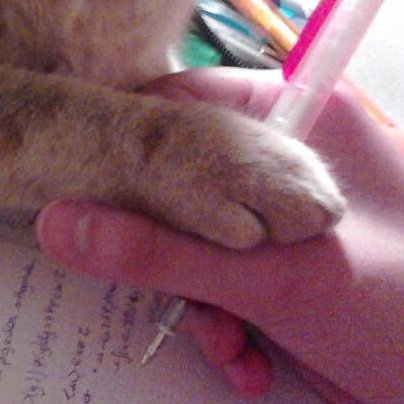 CitronSensei's profile picture. Doing sexy math stuff (science diffusion/science).
J'ai mangé trop de chips.