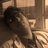 Prasoon's profile image