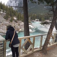Jessica (@jdargs) 's Twitter Profile