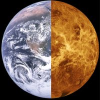Ben Soci (@planetearth2050) 's Twitter Profile
