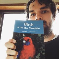 Shining Bird (@shiningbiird) 's Twitter Profile