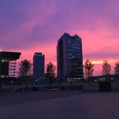 krvk21's profile picture. 