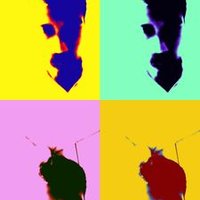simone canettieri (@simocanettieri) 's Twitter Profile
