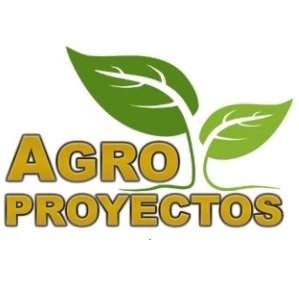 Diseño de corridas financieras y proyectos, Plan de Negocios en Excel. Asesoría técnica agropecuaria. Vainilla