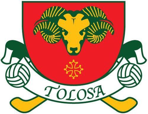 Association Tolosa Despòrt Gaelic, créée en 2010
Football gaélique, hurling, camogie et handball gaélique à Toulouse et en Haute Garonne.