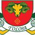 Tolosa Gaels (@tolosagaels) Twitter profile photo