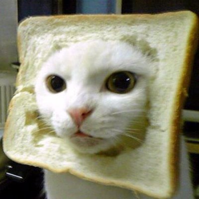 shotakogelove's profile picture. ツイッター初心者でっす！よろしくなり('ω')ノ

16歳でテニスとプログラミング頑張ってます！！　近々GitHubでソース公開予定です！