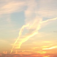 Margaret M Murphy (@margaretmmurph1) 's Twitter Profile