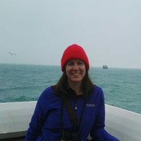 Ailbhe Kavanagh (@ailbhesk) 's Twitter Profile
