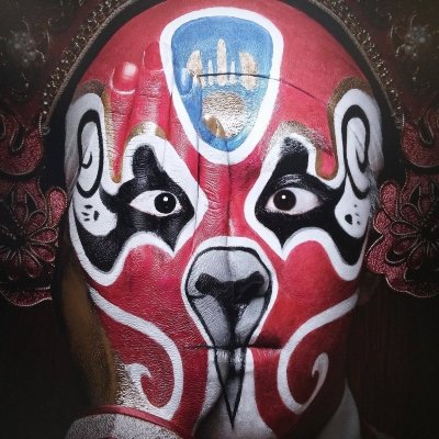 Pitt368's profile picture. 