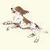 English Springer Spaniel Welfare (@essw_springer) Twitter profile photo English Springer Spaniel Welfare (@essw_springer) Twitter profile photo