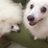 1232929のアイコン