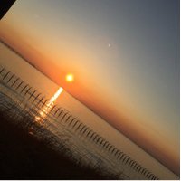 ジョニー。 (@doemudayooo) 's Twitter Profile