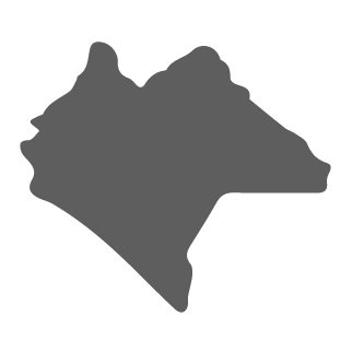 ChiapasGasolina's profile picture. 