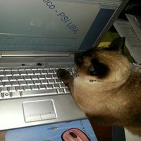 glamar (@glamargianni) 's Twitter Profile Photo