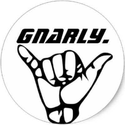 GNARLY ENTERTAINMENT™