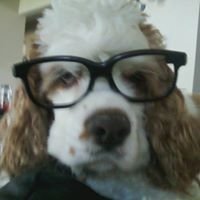 Uncle Cowy (@coryeman) 's Twitter Profile