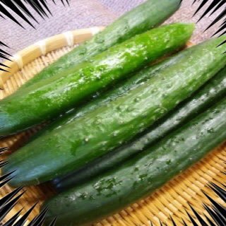 tatsuyan145's profile picture. 東方と筋肉は正義 はっきりわかんだね。 こし餡が正義