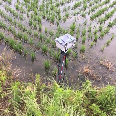 projectone111's profile picture. 