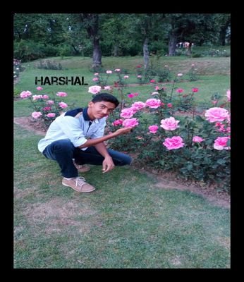 HarshalParmar13's profile picture. 