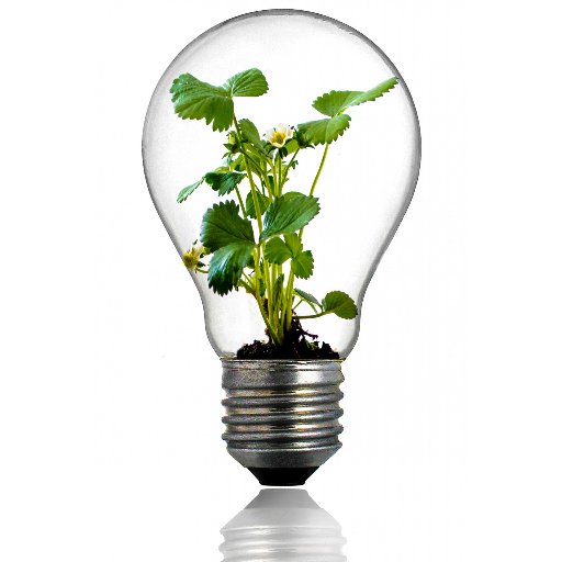 CAST_Dijon's profile picture. Correspondant Académique pour les Sciences et Technologies - Académie de Dijon