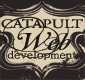 catapultweb's profile picture. Professional Websites, Personal Touch.