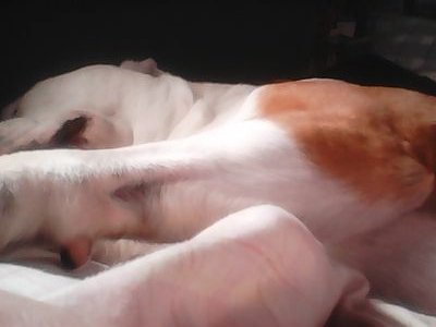 jaynereeves11's profile picture. been happy