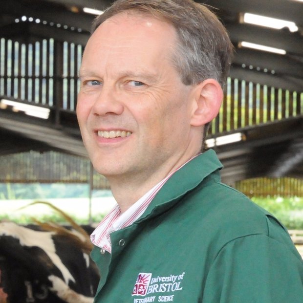 Prof of Bovine Medicine at Bristol Vet School, AMR researcher, endurance runner and Dad. All views expressed are my own