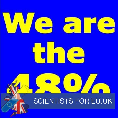The 48% who voted to Remain