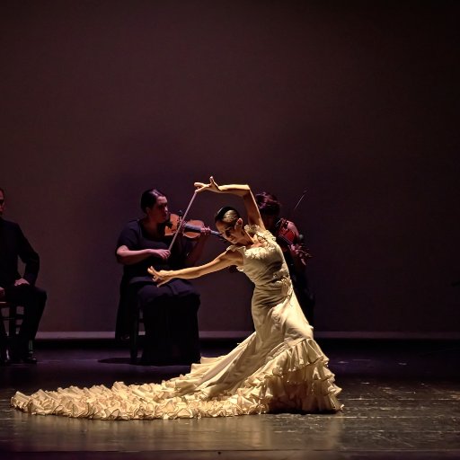 Espectaculos de Danza Española y el Flamenco.
Spanish dance and flamenco performances
Director Tomás Sánchez
Telf. 639648523