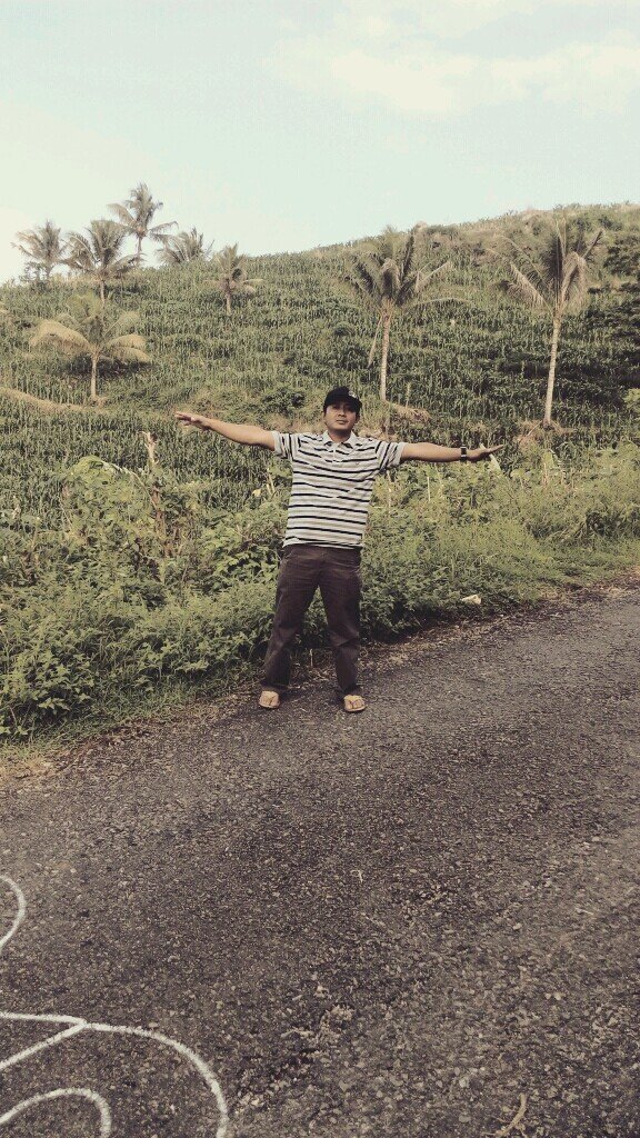 pandusetio's profile picture. 