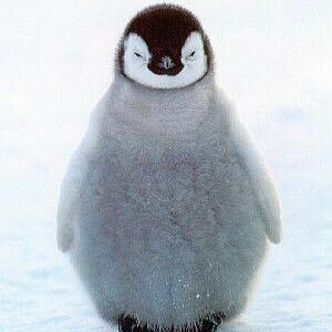 kaaaakundayo's profile picture. 