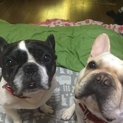fkCjY0mysPWwZXr's profile picture. 