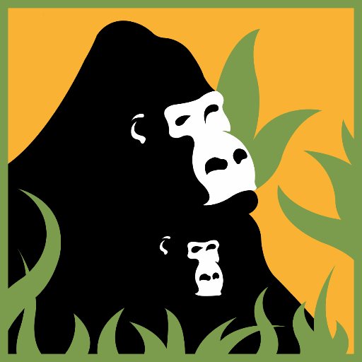 Dian Fossey Gorilla Fund Profile