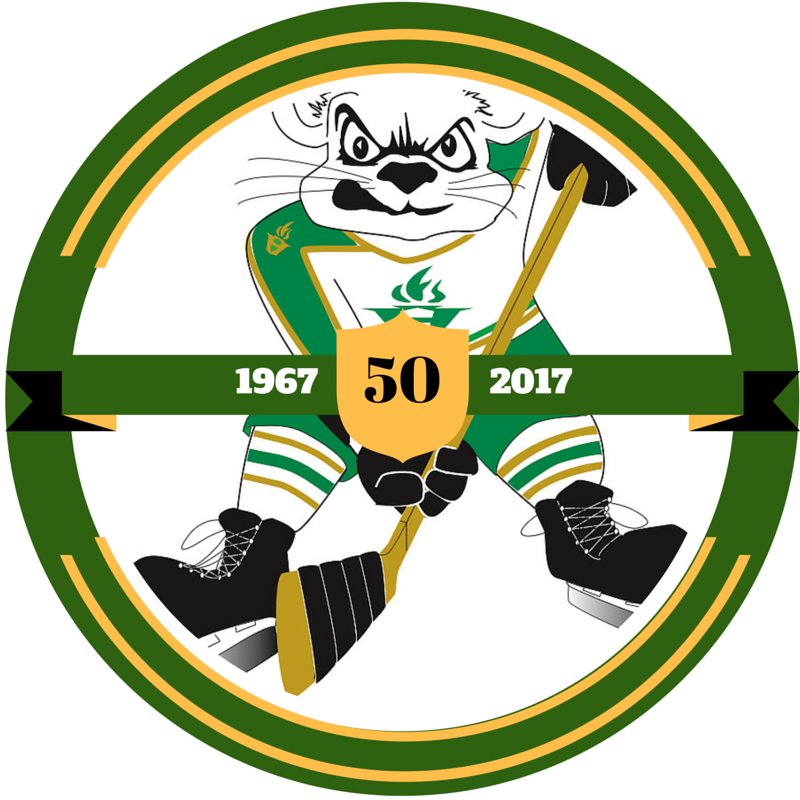 Celebrating 50 years of varsity hockey