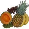 fitnessbiologic's profile picture. #fitness #diet #health #weightloss #yoga #sport #coach #wellness #nutrition #meditation #recipes #nongmo